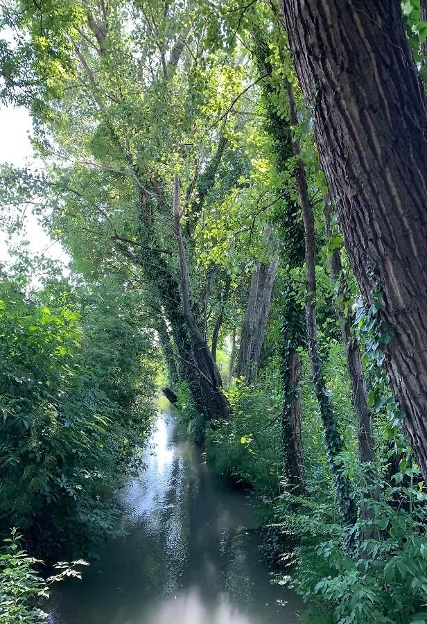 Casamanu Διαμέρισμα Montebelluna Δωμάτια σε οικογενειακή κατοικία